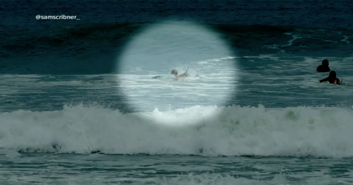 New Smyrna beach, Florida: Teen surfer attacked by shark in chilling